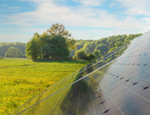 L’energia solare è la rinnovabile più verde a nostra disposizione?