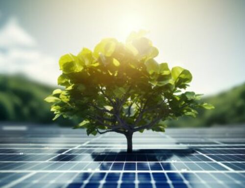 Fotovoltaico in Cloud la soluzione agli obiettivi della COP28