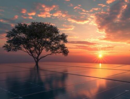 L’Energia Fotovoltaica – pilastro della sostenibilità green